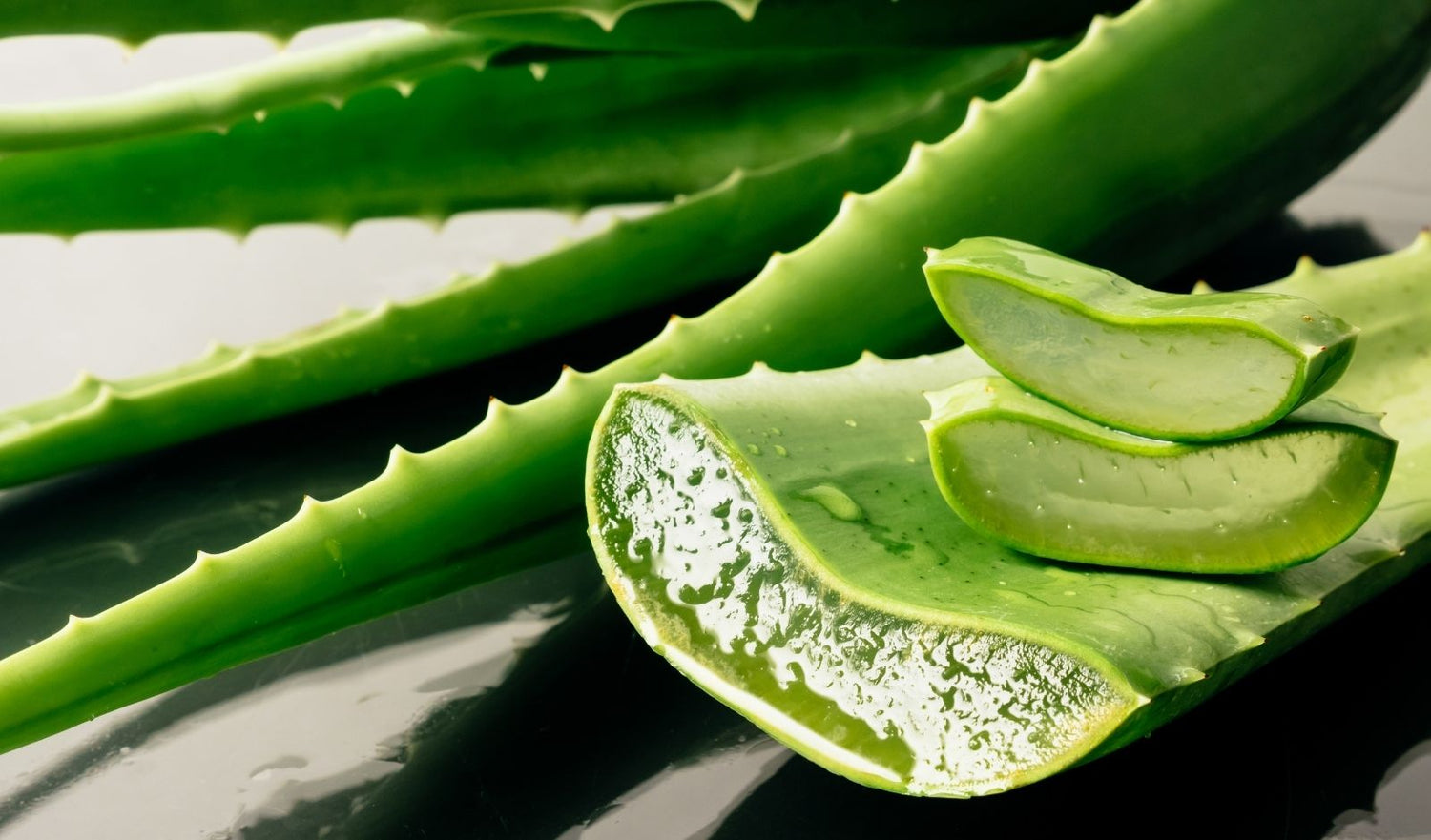 Acemannano: un Gastroprotettore Naturale