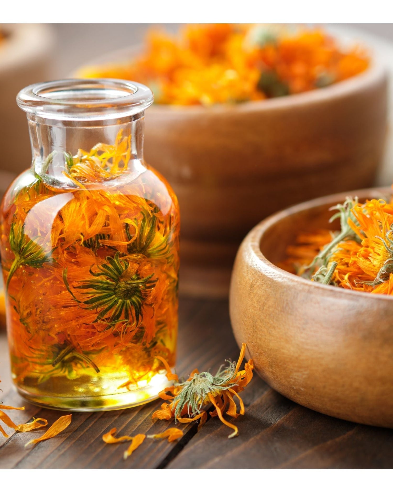 Tintura Madre di Calendula: proprietà e benefici