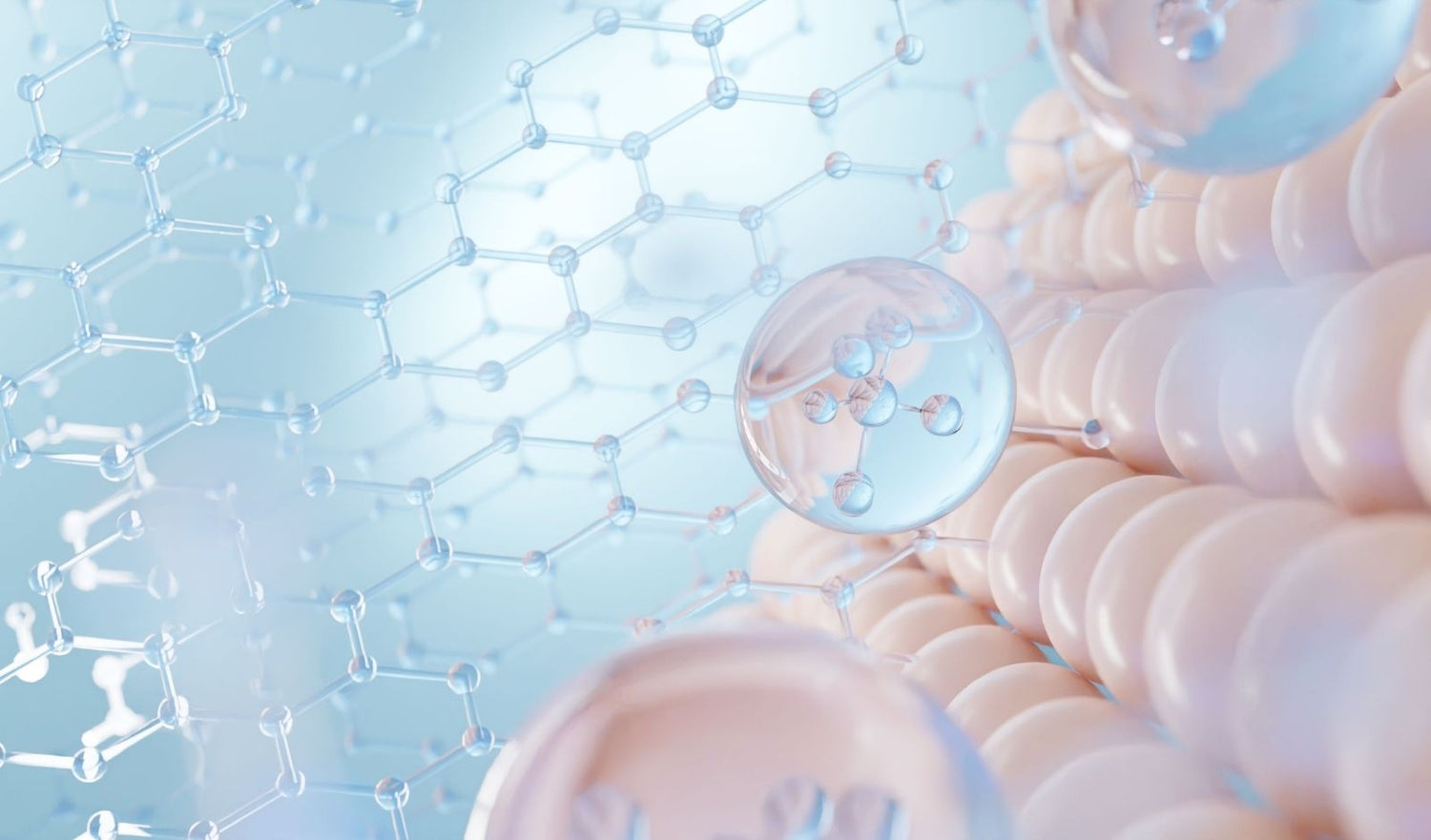 Collagene Marino Idrolizzato: cos'è e quali sono i suoi benefici?