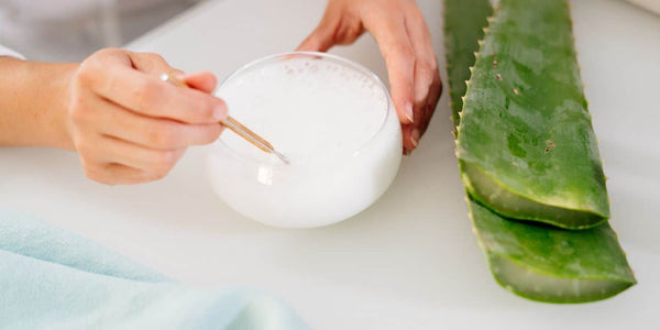 Foglie di Aloe Vera: Proprietà ed Utilizzi