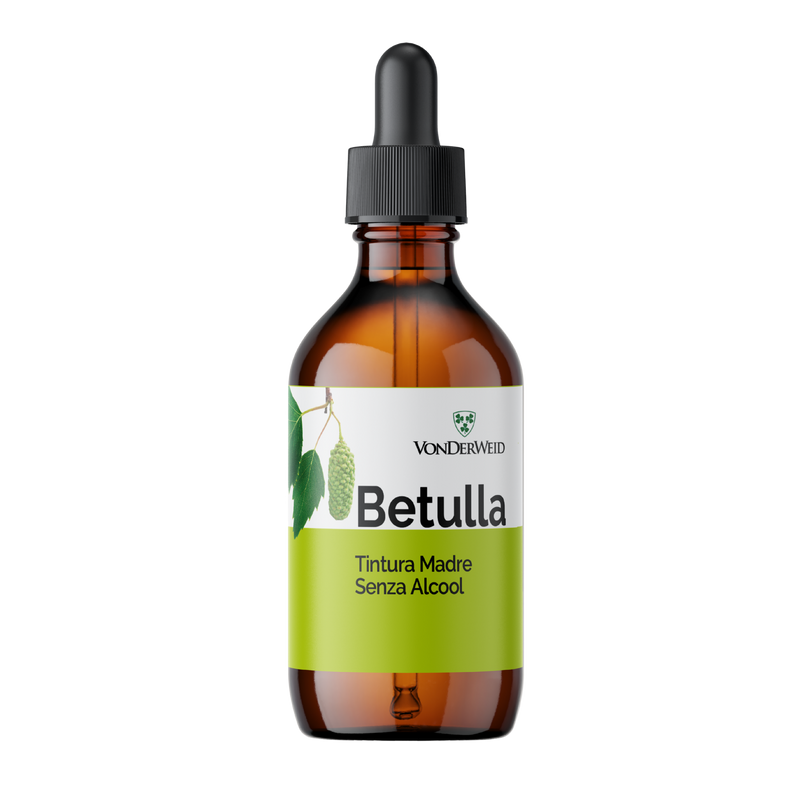 Tintura Madre di Betulla Analcolica - Estratto Glicerico