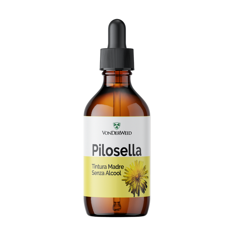 Tintura Madre di Pilosella Analcolica - Estratto Glicerico