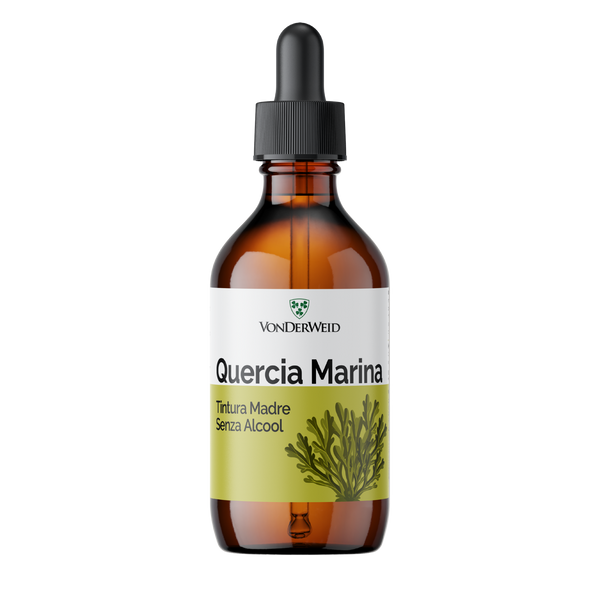 Tintura Madre di Quercia Marina Analcolica - Estratto Glicerico