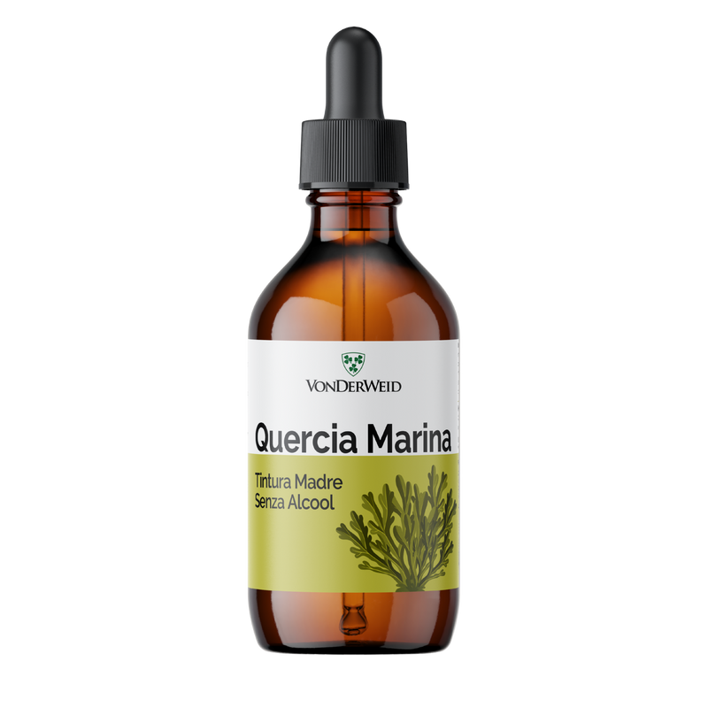 Tintura Madre di Quercia Marina Analcolica - Estratto Glicerico