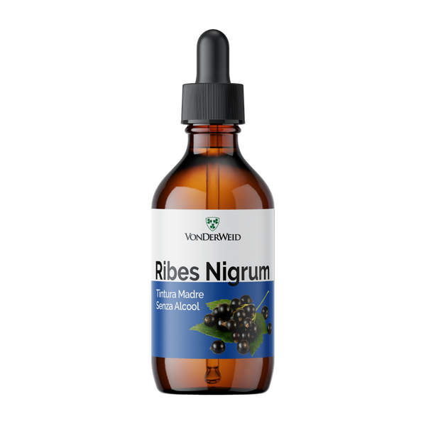 Tintura Madre di Ribes Nigrum Analcolica - Estratto Glicerico