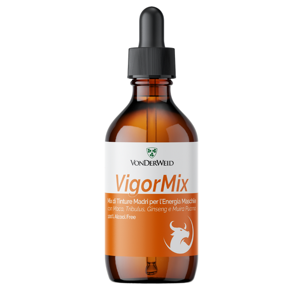 VigorMix Analcolica - Stimolante Maschile