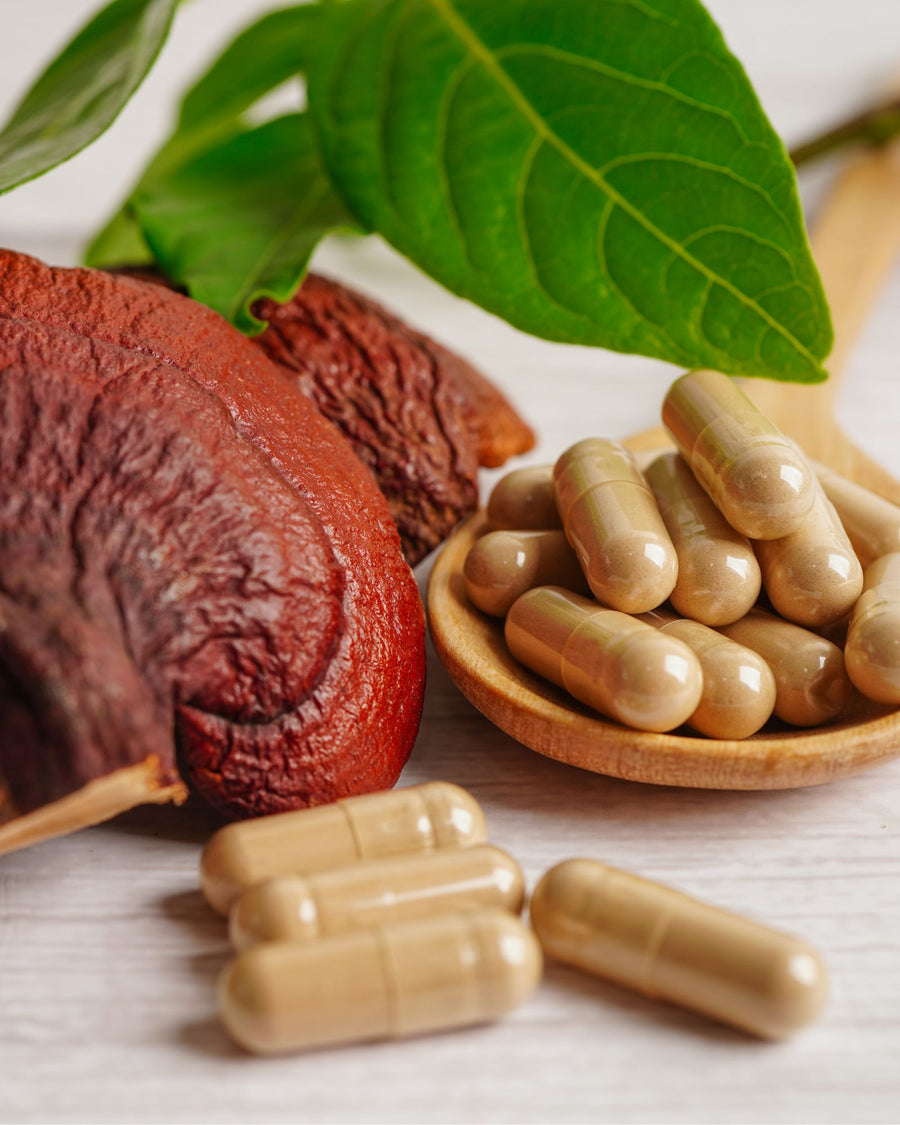 capsule di reishi ganoderma lucidum