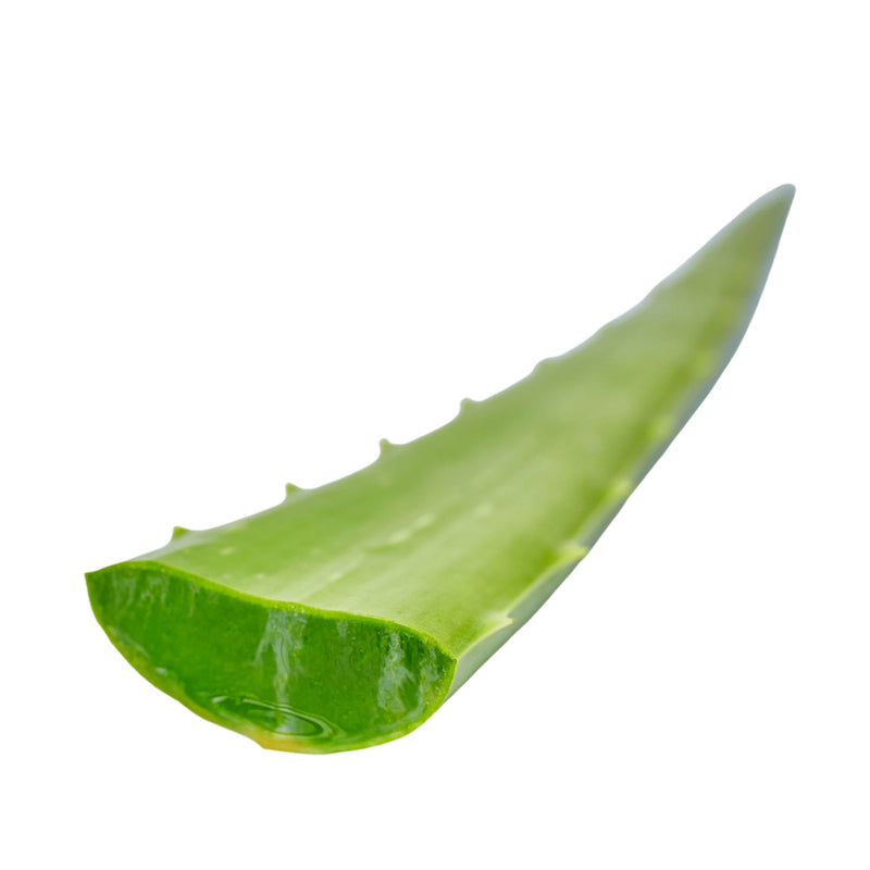 Foglie di Aloe Vera
