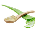 Foglie di Aloe Vera