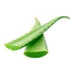 Foglie di Aloe Vera