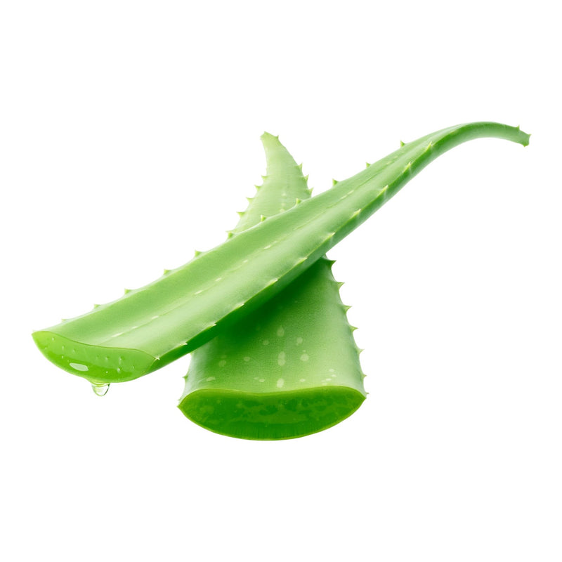 Foglie di Aloe Vera