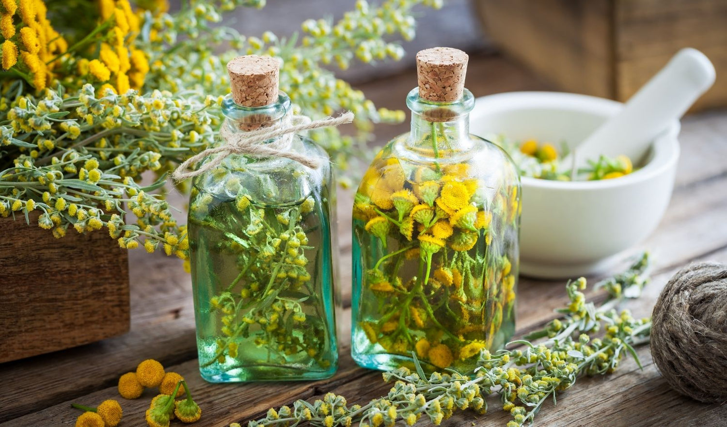 infusi vegetali